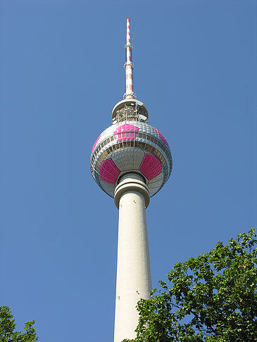 Fotos Fernsehturm und Bäume | Berlin