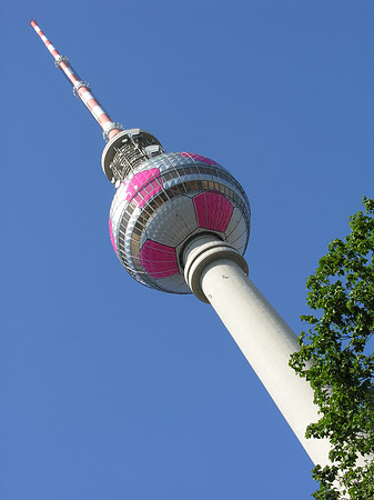 Fotos Fernsehturm und Bäume