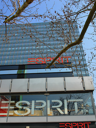 Fotos Esprit