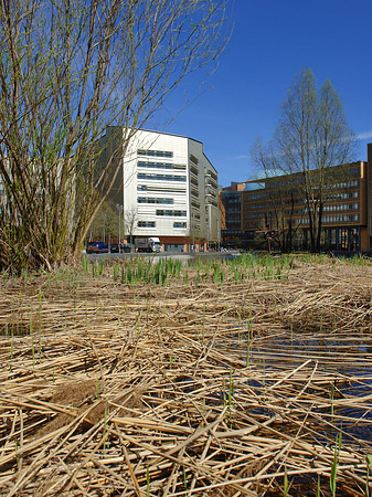 Foto Naturraum am Theaterufer