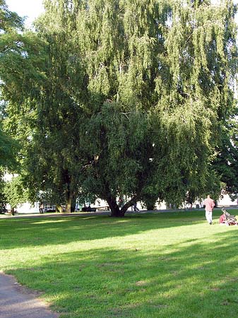 Fotos Treptower Park
