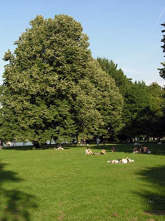 Fotos Treptower Park