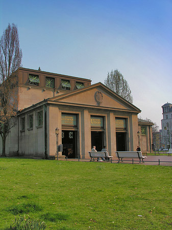 Wiese Foto 