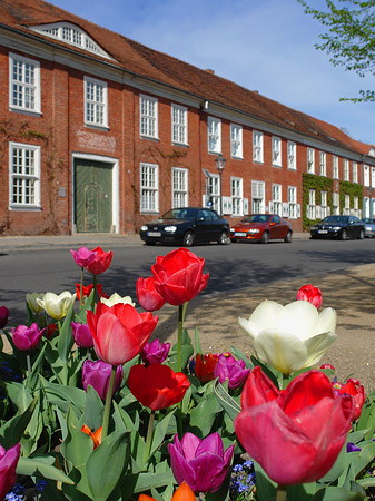 Blumen