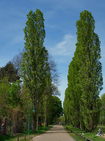 Fotos Volkspark Klein Glienicke