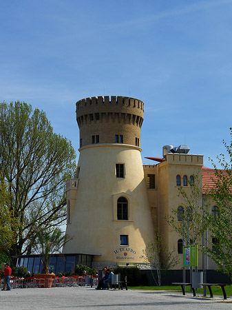Zichorienmühle