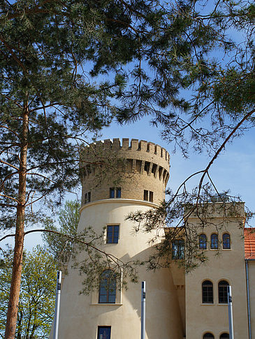 Zichorienmühle Foto 