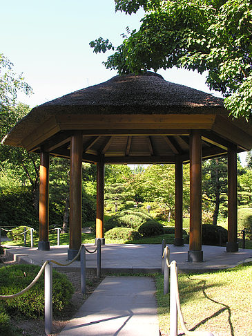 Fotos Planten un Blomen - Japanischer Garten | Hamburg