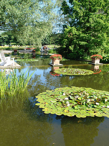 Fotos Planten un Blomen - Wasserkaskaden | Hamburg