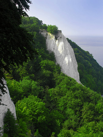 Königsstuhl Kreidefelsen