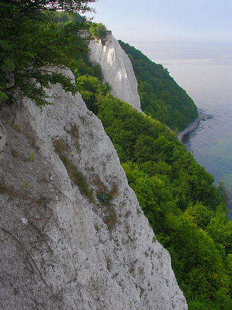 Foto Königsstuhl Kreidefelsen