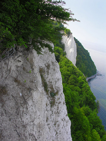 Königsstuhl Kreidefelsen Foto 