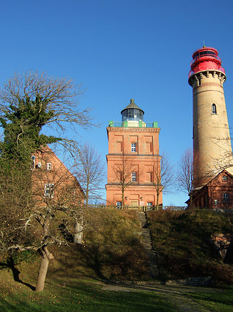 Bäume Foto 