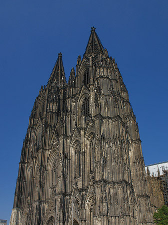 Foto Touristen tummeln sich vor Kölner Dom