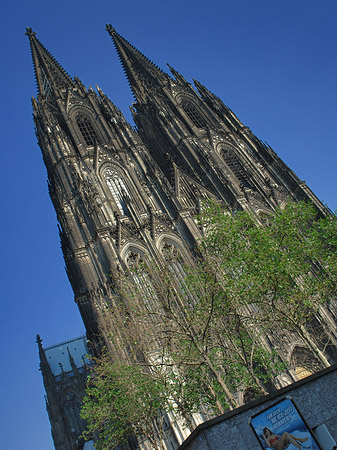 Foto Nordtor des Kölner Doms - Köln