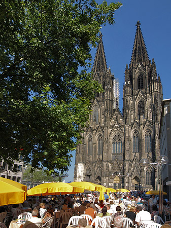 gelbe Sonnenschirme vor Kölner Dom Fotos