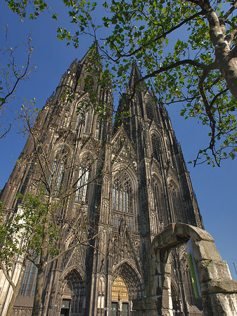 Fotos Westfassade des Kölner Doms | Köln