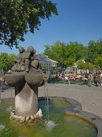 Fotos Pütz im Rheingarten
