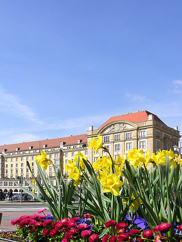 Fotos Altmarkt | Dresden