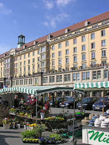 Foto Galerie am Altmarkt - Dresden