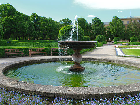 Brunnen im Hofgarten Foto 