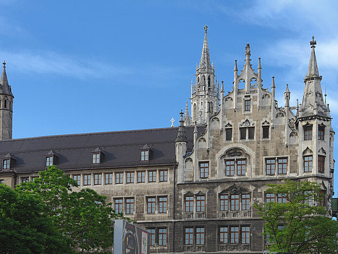 Weinstraße Foto 