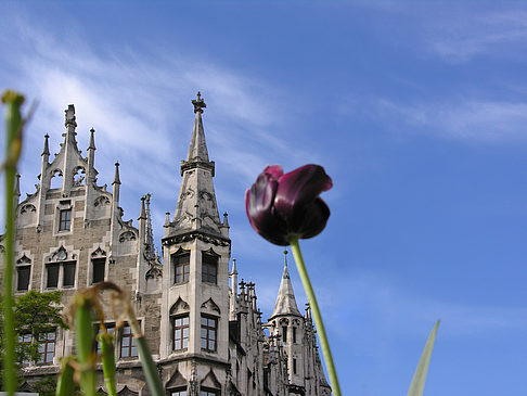 Foto Weinstraße - München