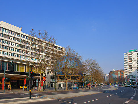 Globe Studio Foto 