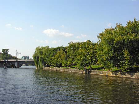 Foto Sonnige Wiese - Berlin