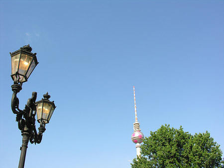 Fotos Fernsehturm und Bäume | Berlin