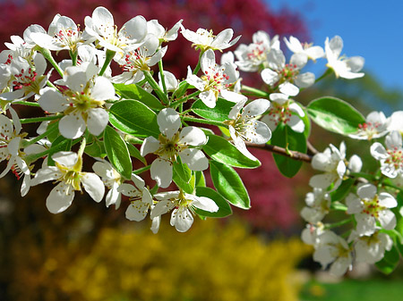 Frühling