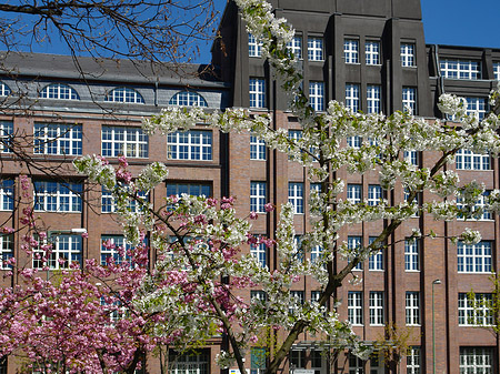 Frühling