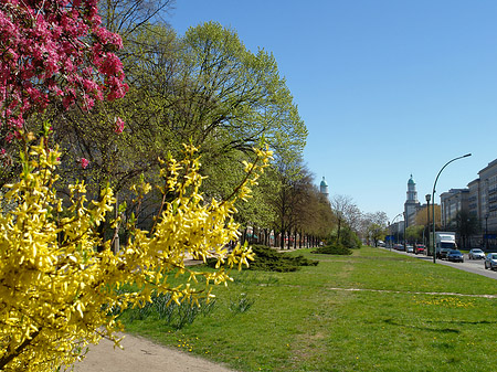 Frühling Fotos