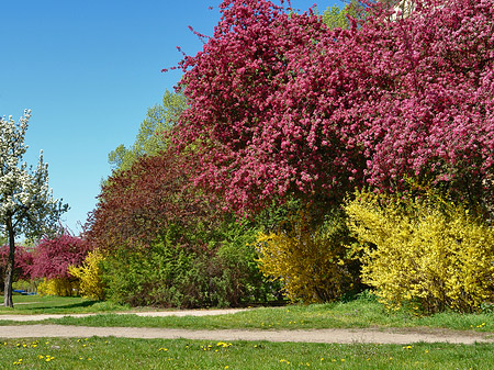 Fotos Frühling | 