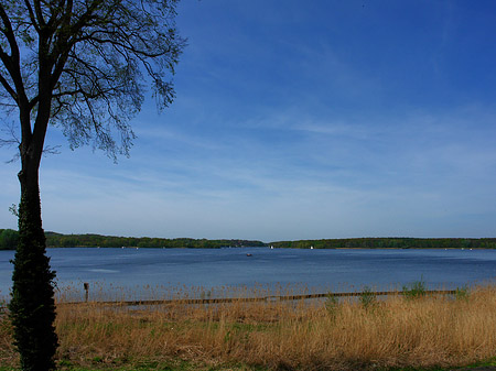 Jungfernsee Foto 