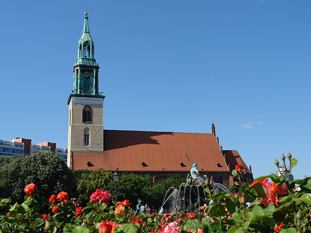 Neptunbrunnen mit Marienkirche Fotos