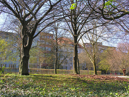 Fotos Parkanlage