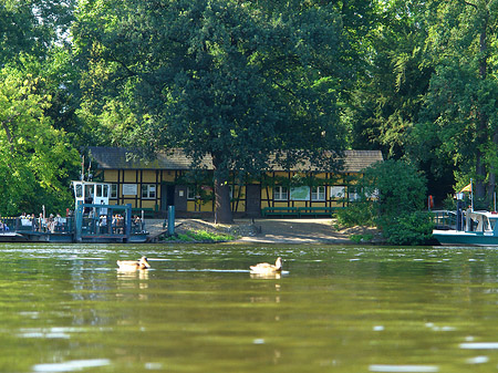Foto Anlegestelle zur Pfaueninsel