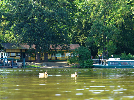 Fotos Fähre zur Pfaueninsel | Berlin