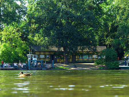 Fähre zur Pfaueninsel