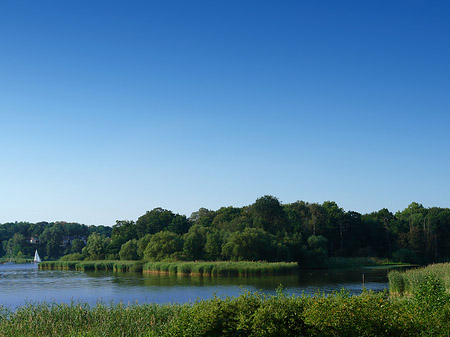 Havel Foto 