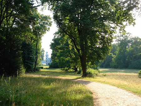 Foto Pfaueninsel im Sommer