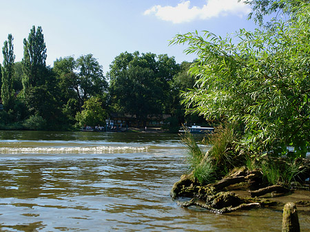 Foto Ufer an der Pfaueninsel - Berlin