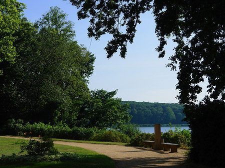 Foto Wiese auf der Pfaueninsel - Berlin