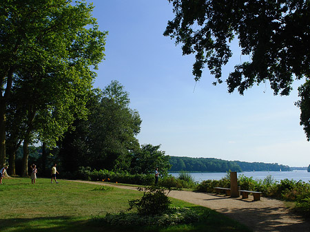 Foto Wiese auf der Pfaueninsel
