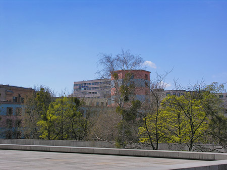 Frühlingsbäume Fotos