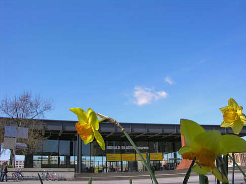 Foto Frühling