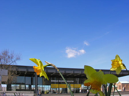 Fotos Neue Nationalgalerie
