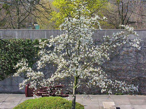 Fotos Skulpturengarten