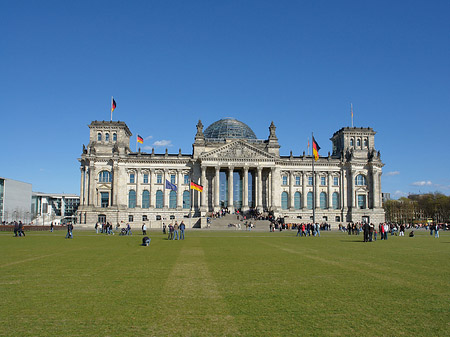 Wiese Foto 